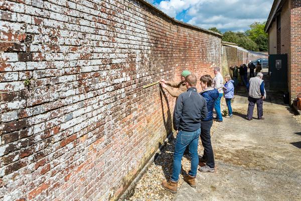 Best Time of Year to Start Restoration Projects